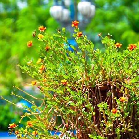 Haian Xian Homestay Huhszi Kültér fotó