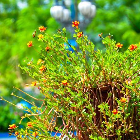 Haian Xian Homestay Huhszi Kültér fotó